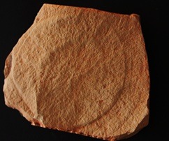 AZIZID